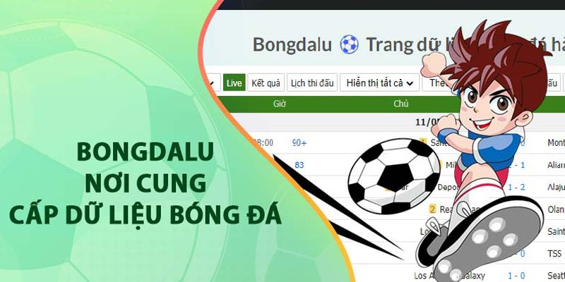Bongdalu website chia sẻ tin tức về môn thể thao vua cực kỳ uy tín
