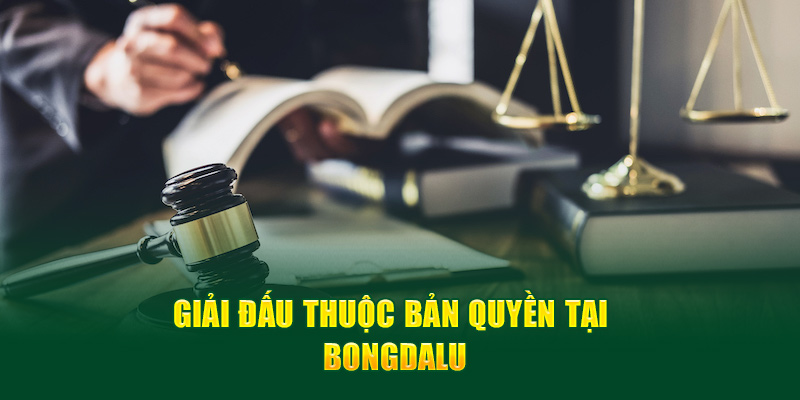 Giải đấu thuộc bản quyền tại Bongdalu