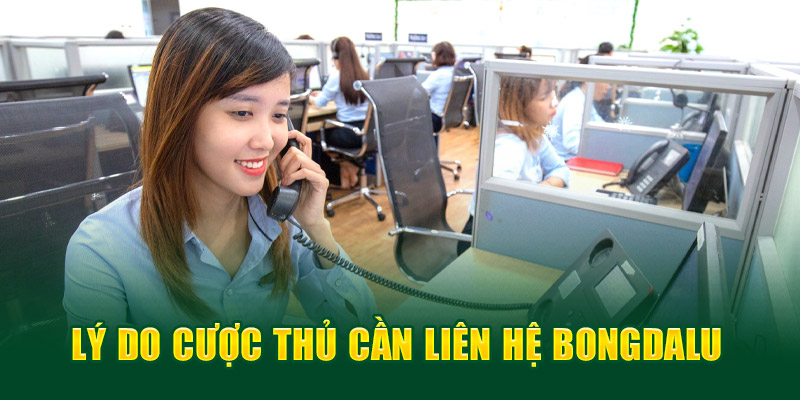 Lý do cược thủ cần liên hệ Bongdalu 