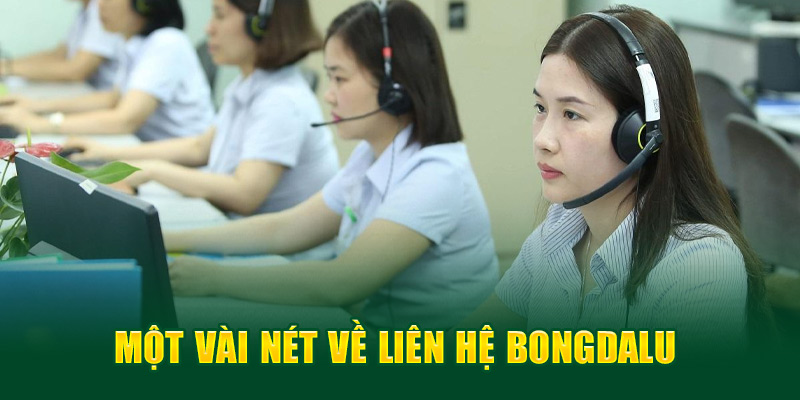 Một vài nét về liên hệ Bongdalu 