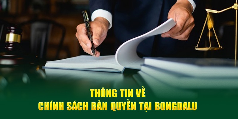 Thông tin chính sách bản quyền Bongdalu