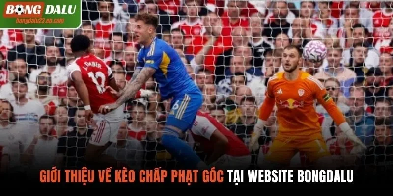 Giới thiệu về kèo chấp phạt góc tại website bongdalu