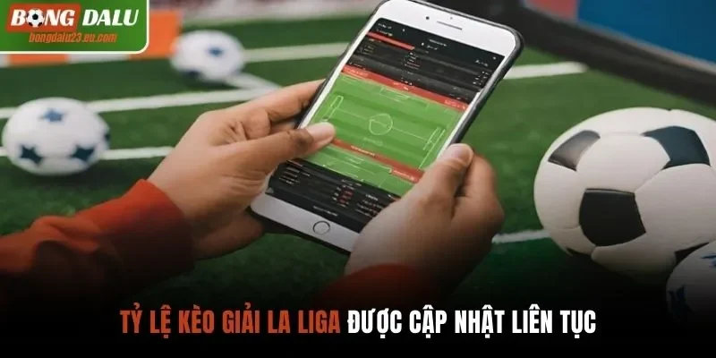 Tỷ lệ kèo nhà cái các giải đấu được cập nhật liên tục