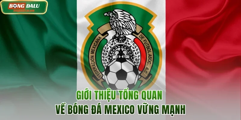 Giới thiệu về nền bóng đá Mexico vững mạnh