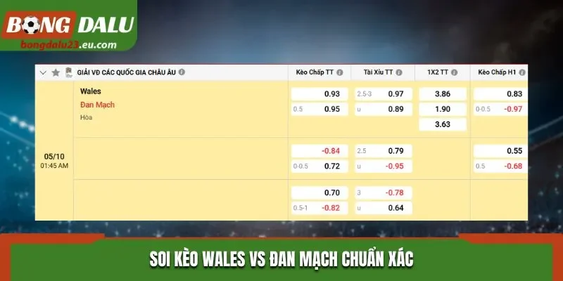 Soi kèo Wales vs Đan Mạch chuẩn xác